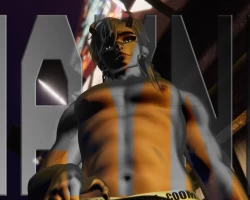 Wayne 3.0