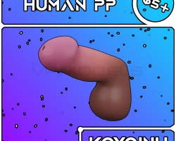 Human PP