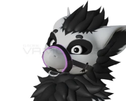Muzzle for Nardoragon