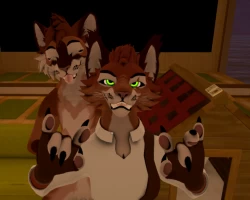 KittyKat