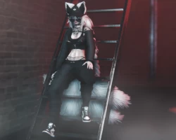 Kat