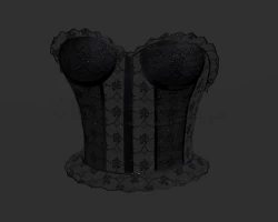Lace Corset