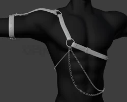 Shoulder harness