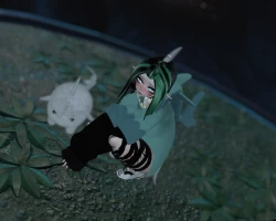Mako