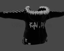Parka coat