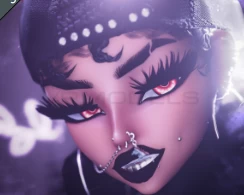 BEBE - 3.0