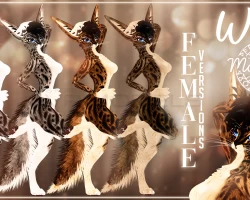 ♡ Wild ♡ Rexouium textures