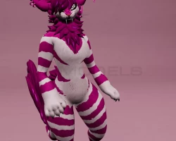 Cheshire Bapper Rex