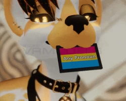 Pronoun/Sexuality Pin