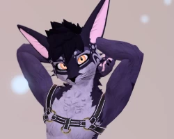 Rexouium Harness