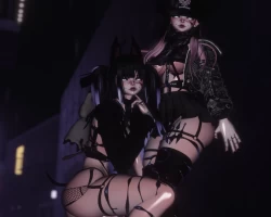 Harley ഒ˚₊