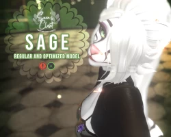 S A G E