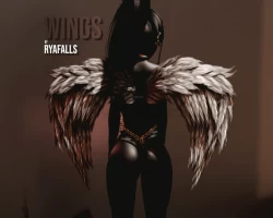 Wings ഒ˚₊