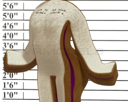Female PB&J Sandwich Humanoid