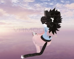Havik the Skull Cat