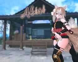 Akari - The 9 Tails fox