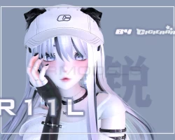 R11L