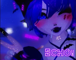 Echo