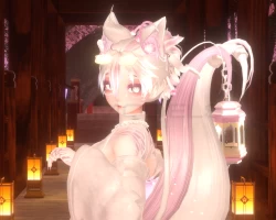 The Kitsune Girl