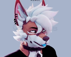 Aidenfur Rebel Hair