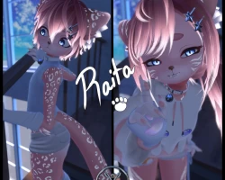 Raita
