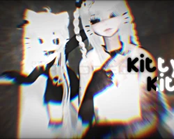 kitty kitty