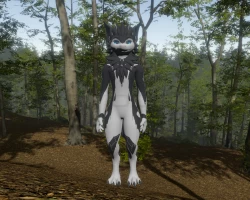 Jeno - Nardoragon texture