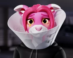 Cone of Shame ~ VR Avatar Asset