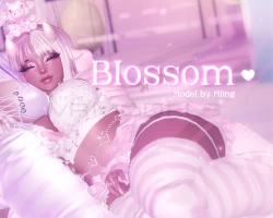 Blossom