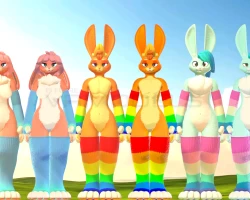 rabbit