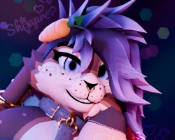 The Shia Bunnia