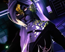 Cleo Feline ഒ˚₊