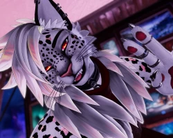 Felix Feline Furry