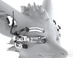 Rexouium Head Augmentation