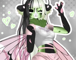 Canopa