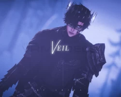 Veil