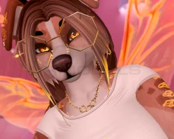 Honey Furry bear/Doggo