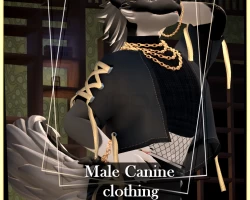 Extraordinary Clothing for the WinterPaw Masc Canine