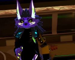 nova punk