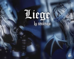 L I E G E ✧｡˚