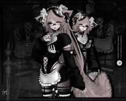 molly the maid . ۫ ꣑ৎ .