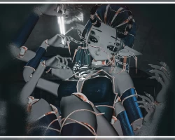 Arachys