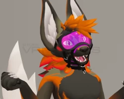 (VRChat) Vulper FoxSpecs and Halter