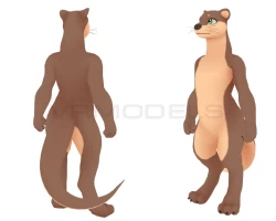 Otter VRChat Avatar
