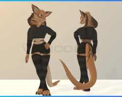 Aspil: Casual Sportswear