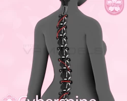 Cyber Spine