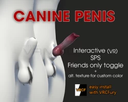 Canine penis realistic