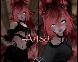 ANSA