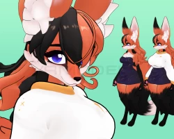 Baller Fox: Rebel show set