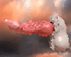 PsiCorpVR - Dragon Penis